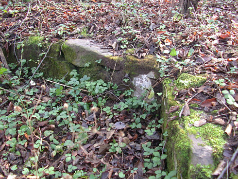 Ruins of a stone structure on the Joseph Smith Farm (2003)